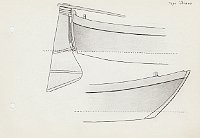 595 Topo istriano 